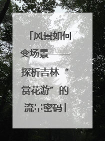 风景如何变场景——探析吉林“赏花游”的流量密码