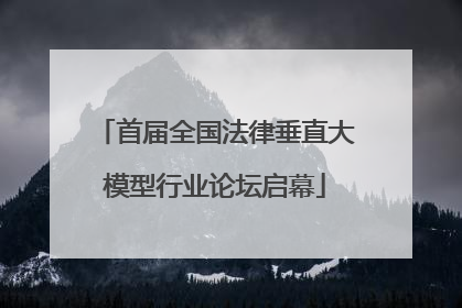 首届全国法律垂直大模型行业论坛启幕