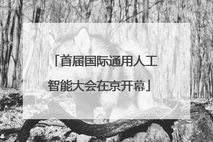 首届国际通用人工智能大会在京开幕
