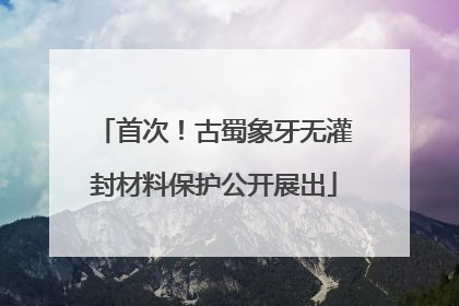 首次！古蜀象牙无灌封材料保护公开展出
