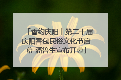 香约庆阳丨第二十届庆阳香包民俗文化节启幕 潘鲁生宣布开幕