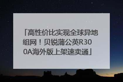 高性价比实现全球异地组网！贝锐蒲公英R300A海外版上架速卖通