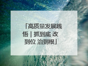高质量发展践悟｜抓到底 改到位 治到根