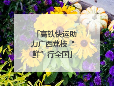 高铁快运助力广西荔枝“鲜”行全国