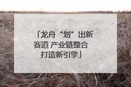 龙舟“划”出新赛道 产业链整合打造新引擎