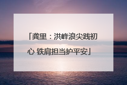 龚里：洪峰浪尖践初心 铁肩担当护平安