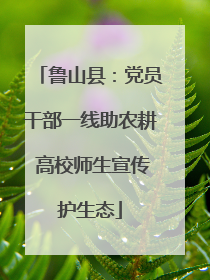 鲁山县：党员干部一线助农耕 高校师生宣传护生态