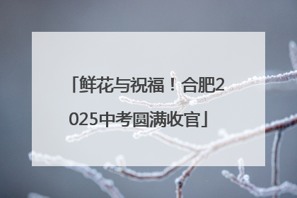 鲜花与祝福！合肥2025中考圆满收官