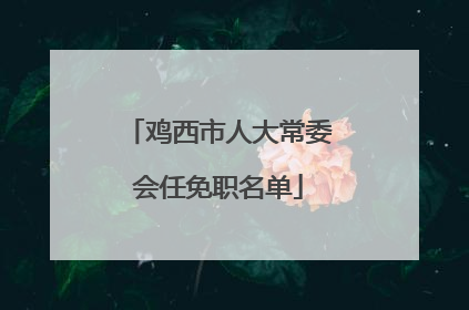 鸡西市人大常委会任免职名单