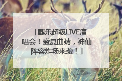 麒乐超级LIVE演唱会！盛夏曲靖，神仙阵容炸场来袭！