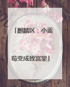 麒麟区：小蓝莓变成致富果