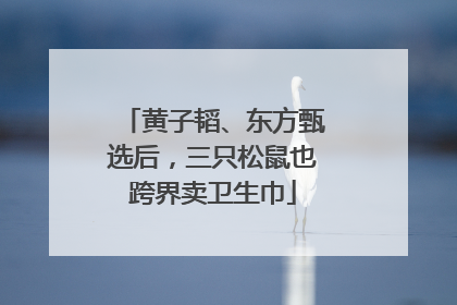 黄子韬、东方甄选后，三只松鼠也跨界卖卫生巾