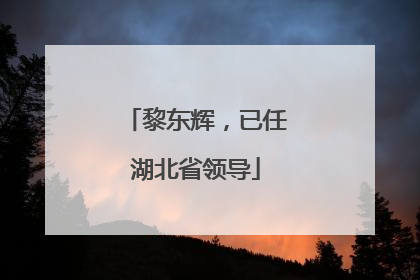 黎东辉，已任湖北省领导