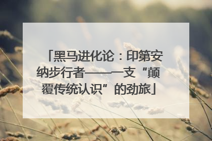 黑马进化论：印第安纳步行者——一支“颠覆传统认识”的劲旅