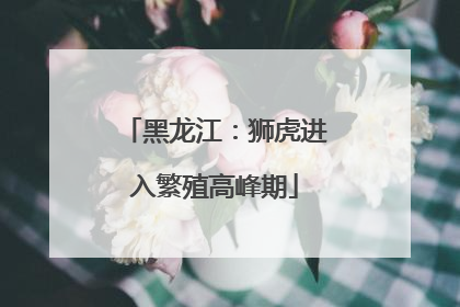 黑龙江：狮虎进入繁殖高峰期