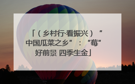 （乡村行·看振兴）“中国瓜菜之乡”：“莓”好前景 四季生金