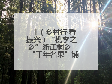 （乡村行·看振兴）“槜李之乡”浙江桐乡：“千年名果”铺就乡村共富路