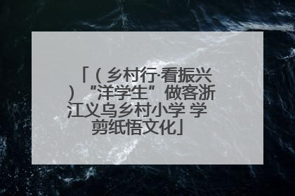 （乡村行·看振兴）“洋学生”做客浙江义乌乡村小学 学剪纸悟文化