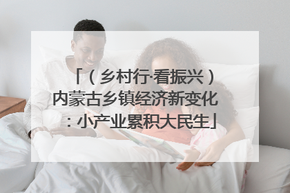 （乡村行·看振兴）内蒙古乡镇经济新变化：小产业累积大民生