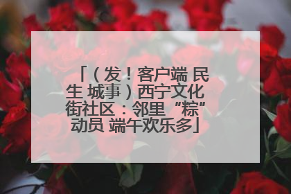 （发！客户端 民生 城事）西宁文化街社区：邻里“粽”动员 端午欢乐多