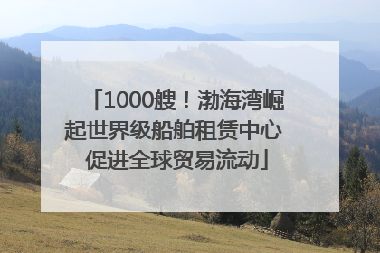 1000艘！渤海湾崛起世界级船舶租赁中心 促进全球贸易流动