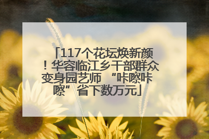 117个花坛焕新颜！华容临江乡干部群众变身园艺师 “咔嚓咔嚓”省下数万元