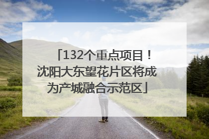 132个重点项目！沈阳大东望花片区将成为产城融合示范区