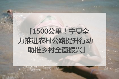 1500公里！宁夏全力推进农村公路提升行动 助推乡村全面振兴