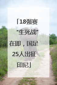 18强赛“生死战”在即，国足25人出征印尼