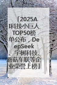 2025AI科技小巨人TOP50榜单公布，DeepSeek、宇树科技、蘑菇车联等企业荣誉上榜