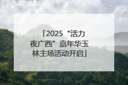2025“活力夜广西”嘉年华玉林主场活动开启