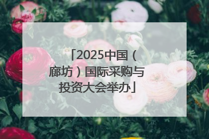 2025中国（廊坊）国际采购与投资大会举办