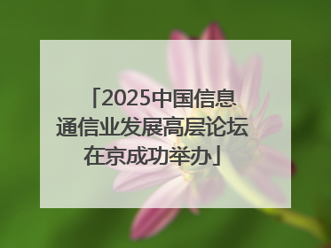 2025中国信息通信业发展高层论坛在京成功举办