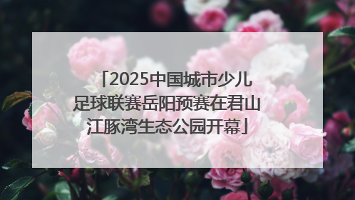 2025中国城市少儿足球联赛岳阳预赛在君山江豚湾生态公园开幕