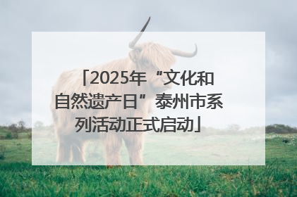 2025年“文化和自然遗产日”泰州市系列活动正式启动