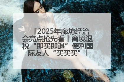 2025年廊坊经洽会亮点抢先看丨离境退税“即买即退”便利国际友人“买买买”
