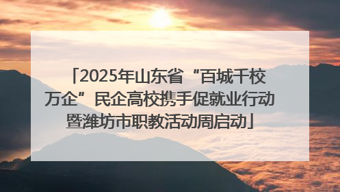 2025年山东省“百城千校万企”民企高校携手促就业行动暨潍坊市职教活动周启动