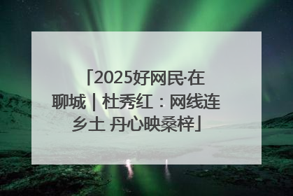 2025好网民·在聊城｜杜秀红：网线连乡土 丹心映桑梓