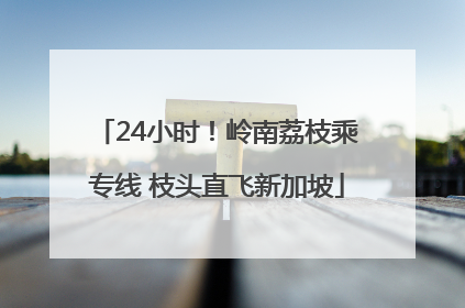 24小时！岭南荔枝乘专线 枝头直飞新加坡
