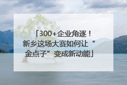 300+企业角逐！新乡这场大赛如何让“金点子”变成新动能