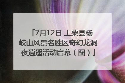 7月12日 上栗县杨岐山风景名胜区奇幻龙洞夜逍遥活动启幕（图）
