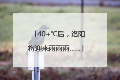 40+℃后，洛阳将迎来雨雨雨……