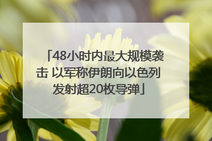 48小时内最大规模袭击 以军称伊朗向以色列发射超20枚导弹
