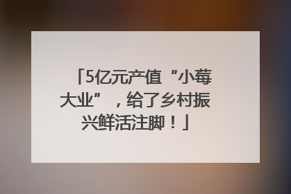 5亿元产值“小莓大业”，给了乡村振兴鲜活注脚！