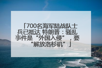 700名海军陆战队士兵已抵达 特朗普：骚乱事件是“外国入侵”，要“解放洛杉矶”