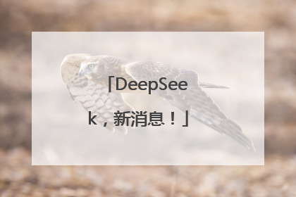 DeepSeek，新消息！