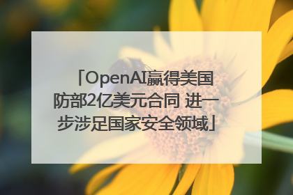 OpenAI赢得美国防部2亿美元合同 进一步涉足国家安全领域