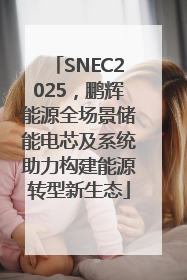SNEC2025，鹏辉能源全场景储能电芯及系统助力构建能源转型新生态